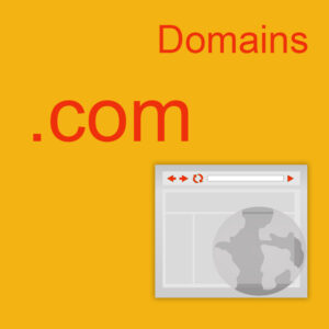 .com Domain